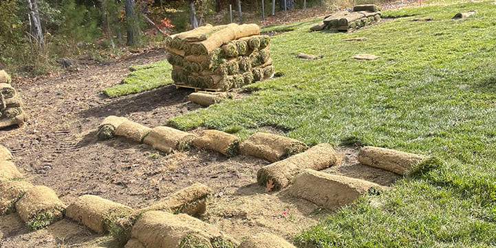Sod Installation in Midlothian VA