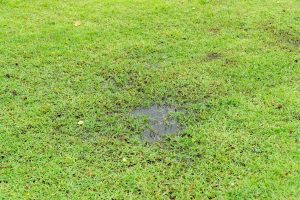 10 Common Irrigation and Drainage Mistakes (And How to Fix Them!) irrigation installation