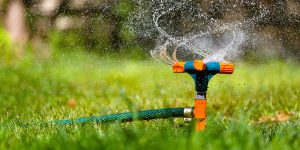 The Ultimate Guide to Sprinkler System Installation: What to Expect quality sprinkler irrigation repair in Midlothian, VA
