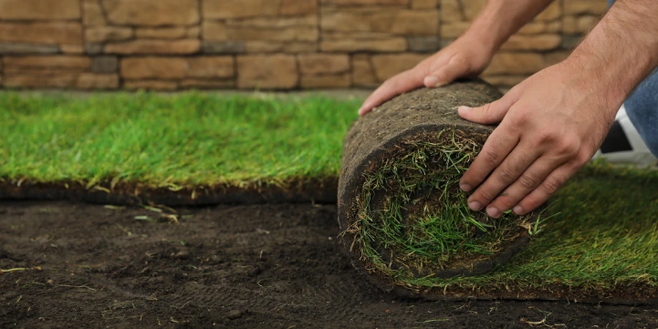 sod vs seed hydroseeding richmond va